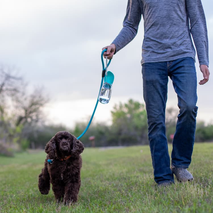 A dog and a portable water bottle on a walk